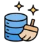 Data Cleaning Logo
